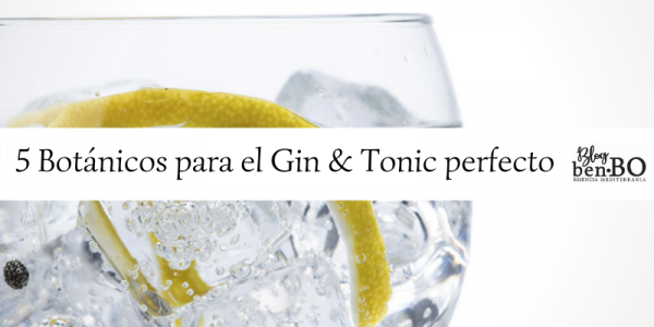 5 Botanicals for the perfect Gin & Tonic